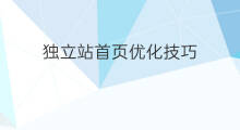 独立站首页优化技巧 如何优化谷歌独立站首页