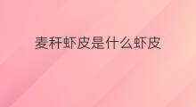 麦秆虾皮是什么虾皮 虾皮是什么