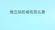 独立站的域名怎么查 独立站域名怎么查