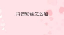 抖音粉丝怎么加 抖音加粉丝怎么加