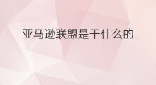 亚马逊联盟是干什么的 google是干什么的