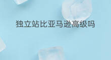 独立站比亚马逊高级吗 亚马逊独立站难吗