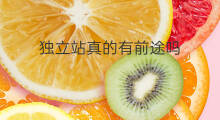 独立站真的有前途吗 独立站运营有前途吗