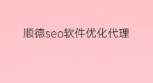 顺德seo软件优化代理 广州seo软件优化代理