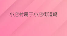 小店村属于小店街道吗 小店街道属于哪里