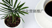 龙岗seo优化营销推广 广州龙岗seo优化