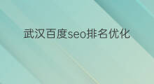 武汉百度seo排名优化 武汉百度排名优化