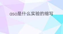 aso是什么实验的缩写 aso是什么酶的缩写