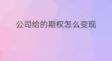 公司给的期权怎么变现 公司上市之后期权怎么变现