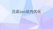 吕梁seo站内优化 吕梁seo优化需求