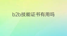 b2b技能证书有用吗 跨境电商证书有用吗