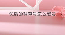 优质的种草号怎么起号 种草号到底怎么起号