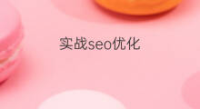 实战seo优化 石家庄seo优化实战