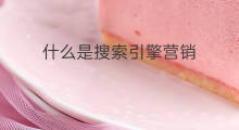 什么是搜索引擎营销 洛阳什么是搜索引擎营销