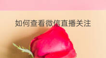 如何查看微信直播关注 微信直播如何查看关注的人