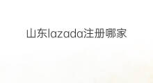 山东lazada注册哪家好 山东虾皮软件哪家好