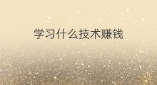 学习什么技术赚钱 如何学习seo技术