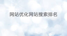 网站优化网站搜索排名 龙城搜索网站优化排名
