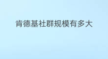 肯德基社群规模有多大 星巴克社群规模多大