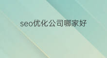 seo优化公司哪家好 湘潭seo优化公司哪家好