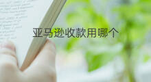 亚马逊收款用哪个 shopee用哪个收款
