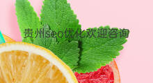 贵州seo优化欢迎咨询 贵州seo优化