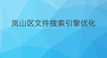 岚山区文件搜索引擎优化 岚山区搜索引擎优化