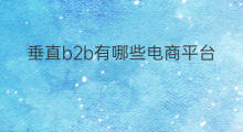 垂直b2b有哪些电商平台 垂直b2b网站有哪些 垂直b2b有哪些电商平台 垂直b2b网站有哪些