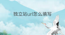独立站url怎么填写 shopify商店url怎么填写