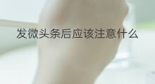发微头条后应该注意什么 微头条应该发什么呢