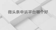 微头条申诉平台哪个好 微头条哪个平台好