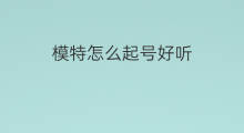 模特怎么起号好听 模特怎么起号好听点
