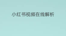 小红书视频在线解析 小红书下载视频