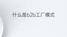 什么是b2b工厂模式 B2B模式条件