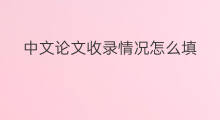 中文论文收录情况怎么填 魅力中国论文收录情况咋填