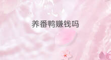 养番鸭赚钱吗 鸭货店赚钱吗