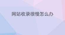 网站收录很慢怎么办 网站文章收录量低怎么办