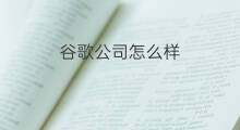 谷歌公司怎么样 谷歌公司怎么进入