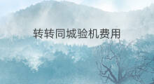 转转同城验机费用 闲鱼如何验机