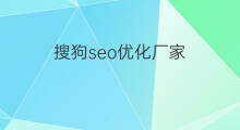 搜狗seo优化厂家 搜狗seo推广优化