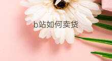 b站如何卖货 B站如何搭建