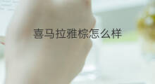 喜马拉雅棕怎么样 喜马拉雅怎么样