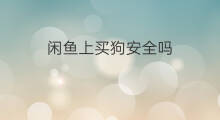 闲鱼上买狗安全吗 闲鱼怎样买狗