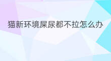 猫新环境屎尿都不拉怎么办 猫新猫砂盆它不拉怎么办