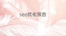 seo优化报告 aso优化报告