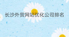 长沙外贸网站优化公司排名 长沙外贸网站优化排名