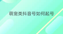 萌宠类抖音号如何起号 怎么起萌宠号