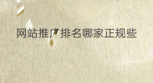 网站推广排名哪家正规些 快手直播哪家正规些