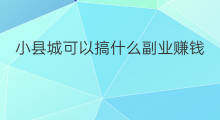 小县城可以搞什么副业赚钱 乡下小县城能搞什么副业