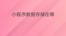 小程序数据存储在哪 chatGPT怎么存储数据